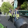 Royal Wedding