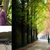 Lokasi Syuting Drama Korea