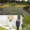 Lokasi Syuting Drama Korea