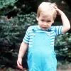 Pangeran William