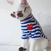 foto kucing lucu