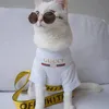 foto kucing lucu