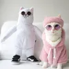 foto kucing lucu