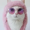 foto kucing lucu