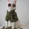 foto kucing lucu