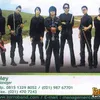 zorro band