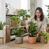 10 Cara Memilih Pot yang Tepat untuk Tanaman Indoor Agar Tumbuh Subur dan Estetik