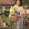 Frau Siapkan 'Water' Sebagai Single Terbaru!