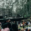 Forestra 2023: Megahnya Orkestra di Tengah Hutan, Sinergi Dengan Lingkungan dan Masyarakat