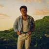 Lirik Lagu 'Meltdown' dan Terjemahannya, Lagu Terbaru dari Niall Horan