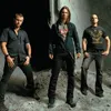 Kennedy Alter Bridge: Fanbase Kami Besar di Indonesia