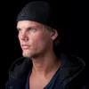 Peringati 1 Tahun Kematian Avicii, Beberapa Musisi Unggah Kenangan Dengan Sang DJ