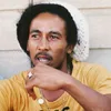 Fakta Tersembunyi Bob Marley, Musisi Dunia yang Dulunya Ternyata Seorang Pekerja Pabrik
