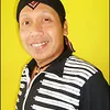 Cak Diqin, Dari Campursari ke Senayan