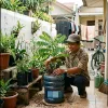 Cara Menanam Pohon Belimbing Wuluh di Galon Bekas, Ini 5 Langkah agar Berbuah Lebat