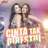 Lirik Lagu ‘Cinta Tak Direstui (feat. Lala Widy)’ - Vita Alvia, Hubungan Cinta yang Harus Usai