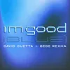 Lirik Lagu ‘I’m Good (Blue)’, Kolaborasi Kedua David Guetta dan Bebe Rexha