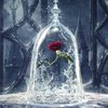 Apa Sih Perbedaan Live Action 'BEAUTY & THE BEAST' & Kartunnya?