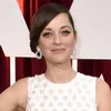 Rumor Orang Ketiga Brangelina, Suami Marion Cotillard Buka Suara