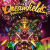 Surganya Partygoers, Dreamfields Festival 2015 Banyak Bintang