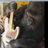Unik! Gorilla Hitam Mainkan Bass Milik Flea Red Hot Chili Peppers
