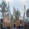 Hari Kedua Jazz Gunung Bromo 2026: Sore Hangat, Malam Syahdu di Bromo