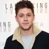Niall Horan Jadikan Bob Dylan 'Kiblat' Sebagai Soloist