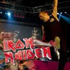 Vokalis Iron Maiden Bakal Terbangkan Pesawat Sejauh 88.500 Km!
