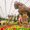Jalan-Jalan Santai Sambil Berburu Foto Estetik, Jelajahi Hamparan Bunga di Tulipmania 2026 Singapura