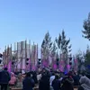 Hari Pertama Jazz Gunung 2023 Penuh Memori, Mus Mujiono Hingga Atiek CB Hangatkan Bromo