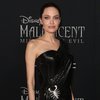 Baru Sebulan Ditinggal Maddox Kuliah di Korea, Angelina Jolie Kangen & Ajak Ketemu