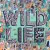 Wildlife Fest, Hanya Dengan 2Juta Bisa Nonton Konser di Inggris!