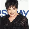 Liza Minnelli Kapok Nikah