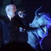 Ada Manusia Bertanduk di Konser Pet Shop Boys