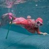 11 Potret Ria Ricis Tetap Berenang dan Menyelam Pakai Ekor Duyung Meski Tengah Berbadan Dua: Ratu Mermaid Kembali!