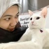 8 Potret Mommy ASF 'LAYANGAN PUTUS', Disebut Sebagai Kinan di Dunia Nyata - Dokter Hewan & Pemilik Pet Shop di Malang