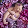 9 Potret Newborn Photoshoot Baby Chloe Anak Asmirandah dan Jonas Rivano, Cantik dan Menggemaskan