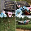 FOTO: Makam Olga Syahputra Setelah Setahun Berlalu, Apa Kabar?