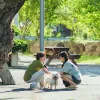 Rekomendasi K-Drama Romantis dengan Latar Pedesaan yang Menenangkan, Bisa Nonton Sambil Healing!