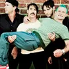 Red Hot Chili Peppers Konser di Halaman Rumah Flea