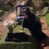 Sering Datangi Makam Almarhum Epy Kusnandar, Ini Cara Karina Ranau Melepas Rindu