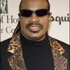 Stevie Wonder Manggung di Inggris