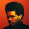 The Weeknd Bawa Tur "After Hours Til Dawn" ke Jakarta September 2026