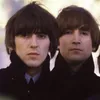 Pohon Personel The Beatles Tumbang Diserang Kumbang