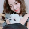 8 Idol K-POP yang Punya Anjing Maltese Super Lucu dan Menggemaskan: Jisoo BLACKPINK - Changmin TVXQ