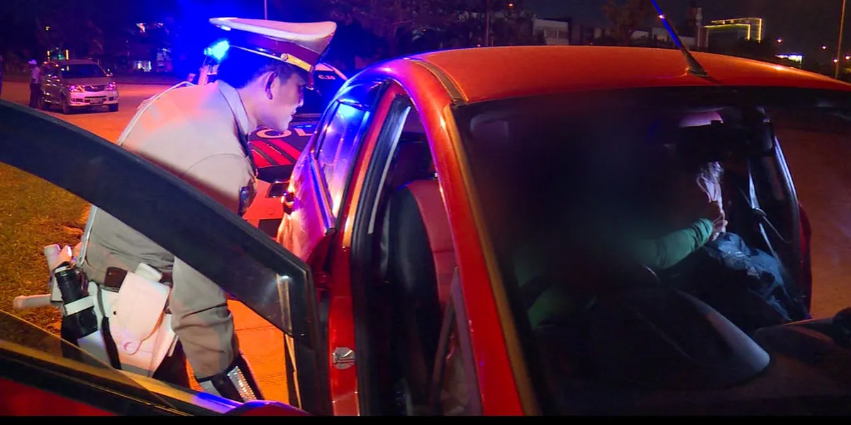 Program Reality Show 