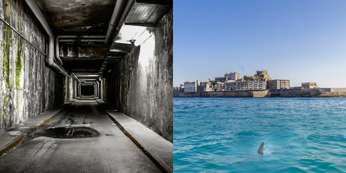 10 Photos and Facts about the Legendary Alcatraz Prison, Rumored to be Haunted and Surrounded by Man-Eating Sharks