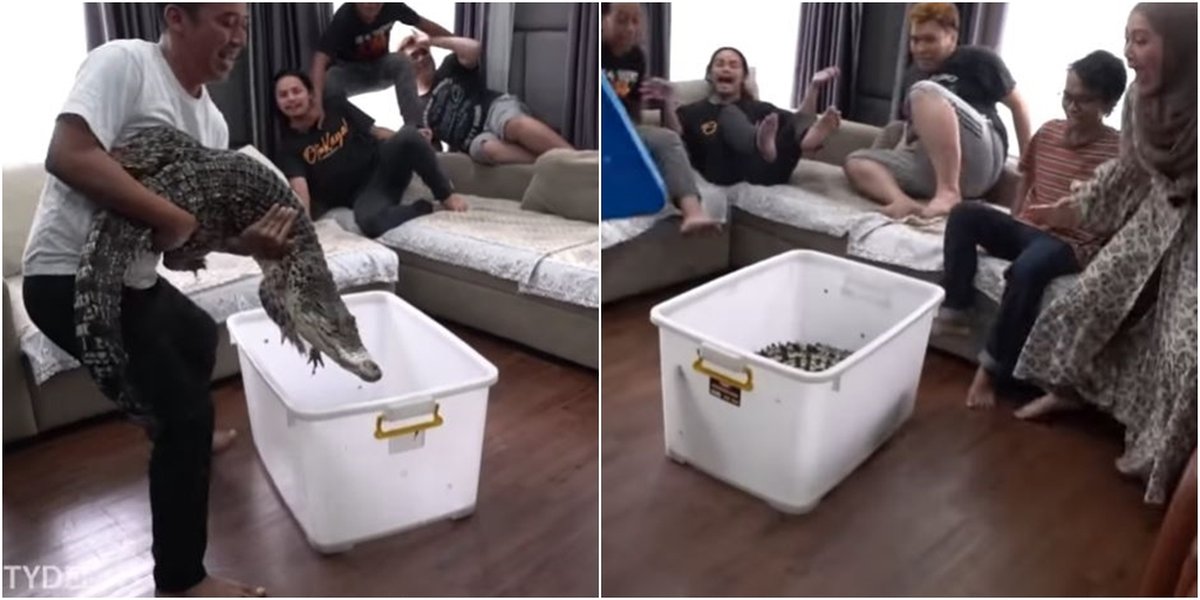 10 Moments Denny Cagur Surprises House Residents - Offers 5 Million Bonus to Take Care of This Predator Reptile