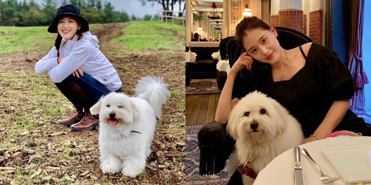 10 Sweet Moments of Kim Jae Kyung, Former Rainbow Member, and Her Beloved Dog