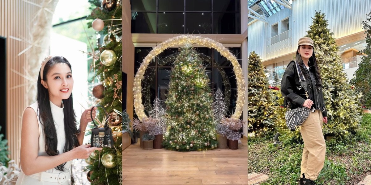 10 Portraits of Sandra Dewi's Christmas House Decoration - Luxurious and Directly Imported Christmas Trees from America, Netizens: Hotel Decorations are No Match!